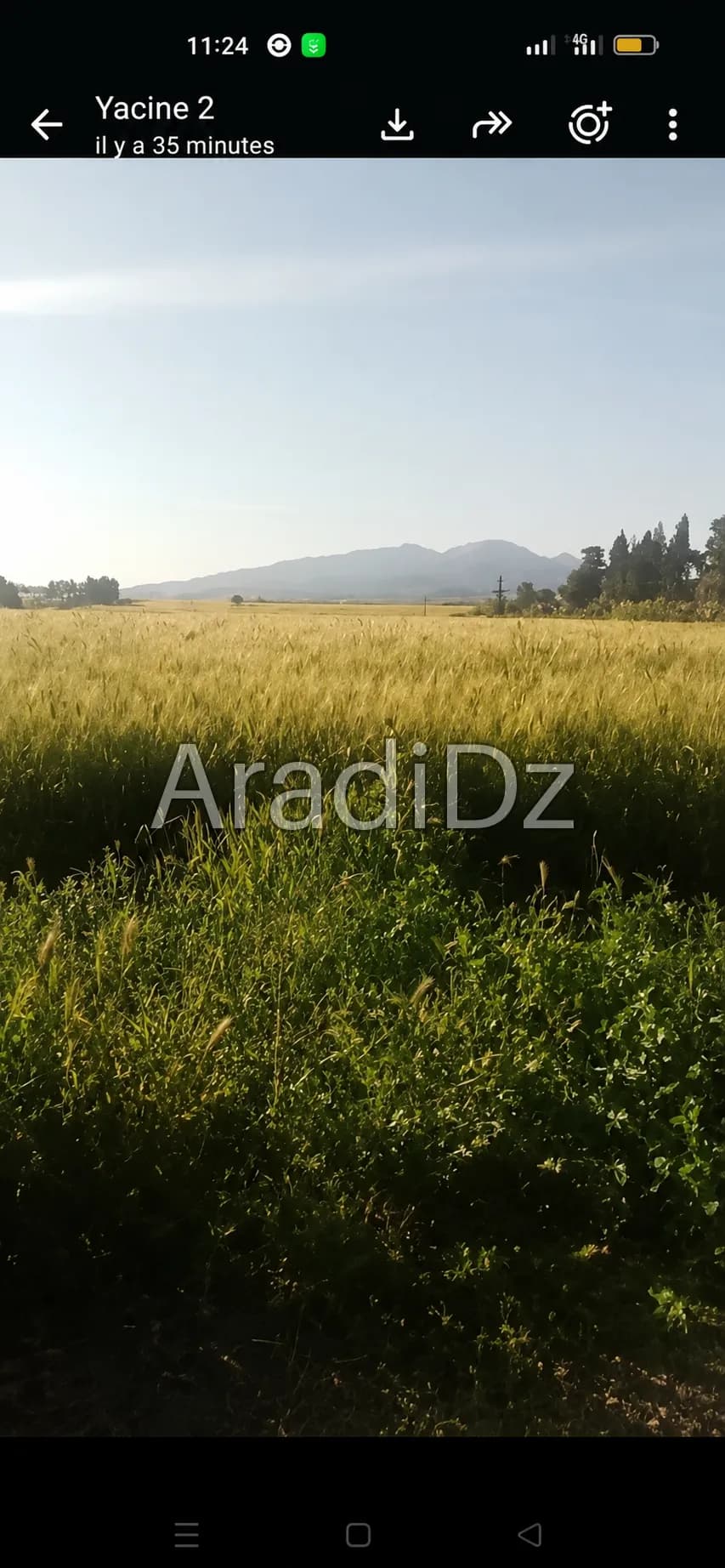 Vente Terrain Agricole Tipaza Hadjout
