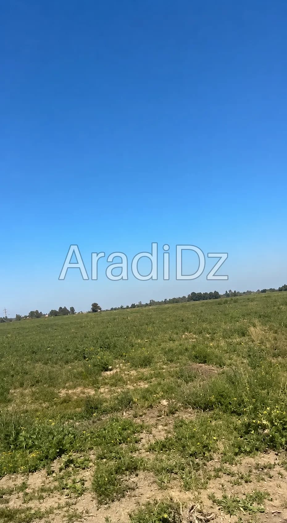 Vente Terrain Agricole Tipaza Attatba