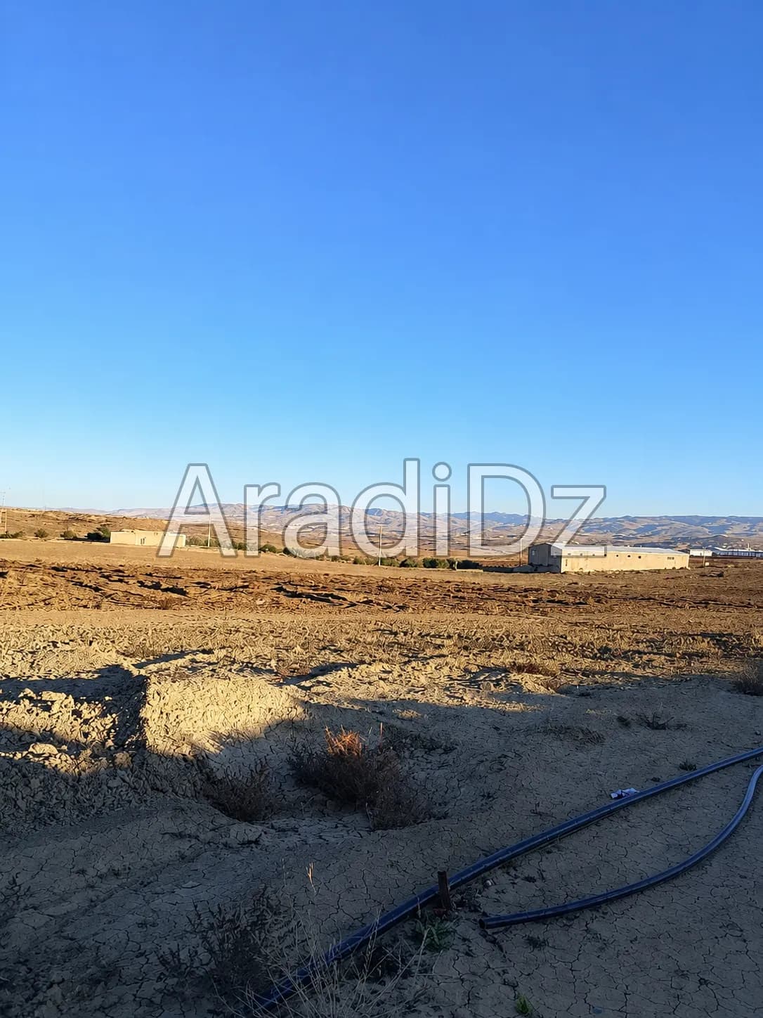 Vente Terrain Agricole Bordj Bou Arreridj El hamadia
