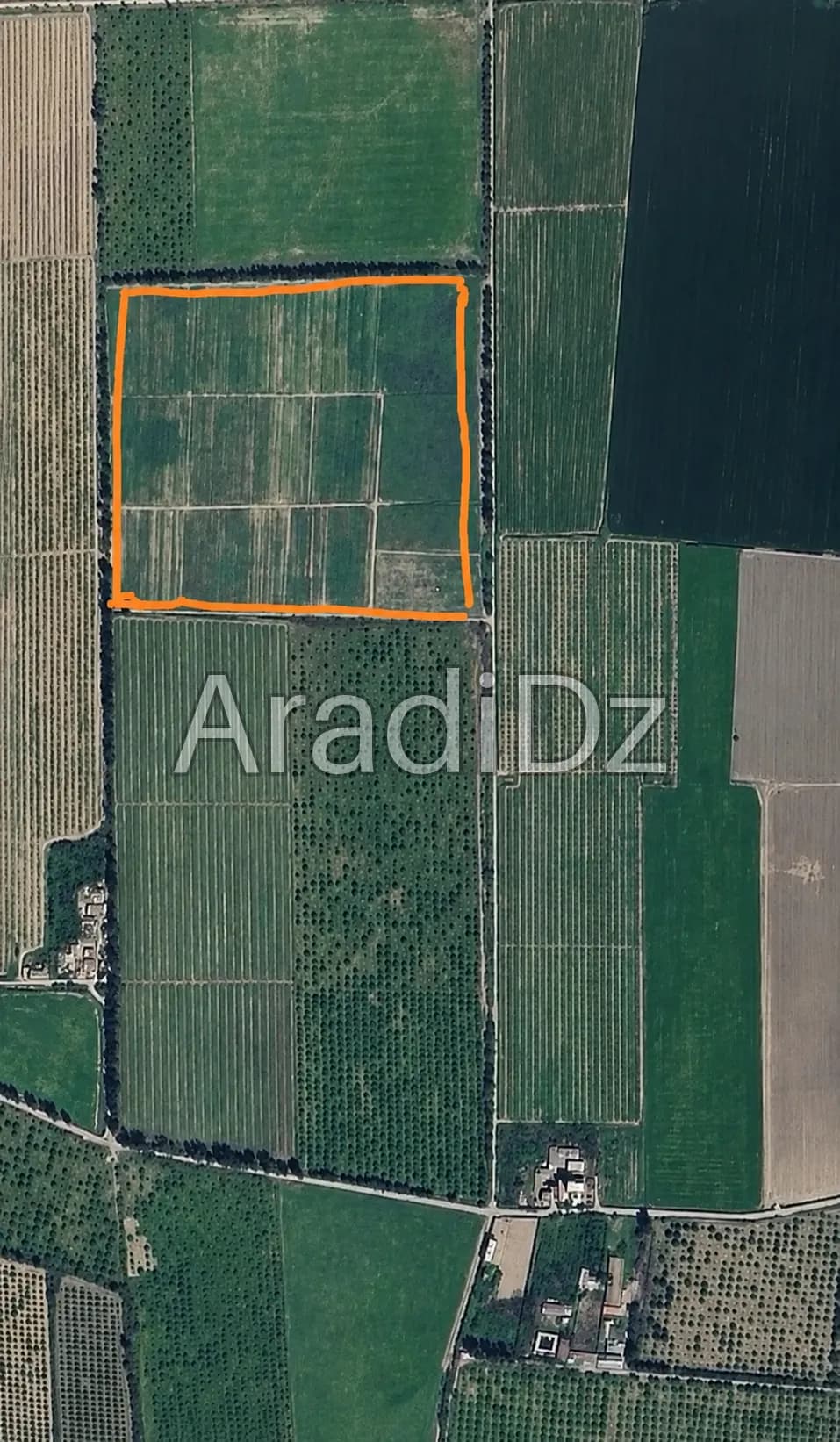 Vente Terrain Agricole Tipaza Attatba