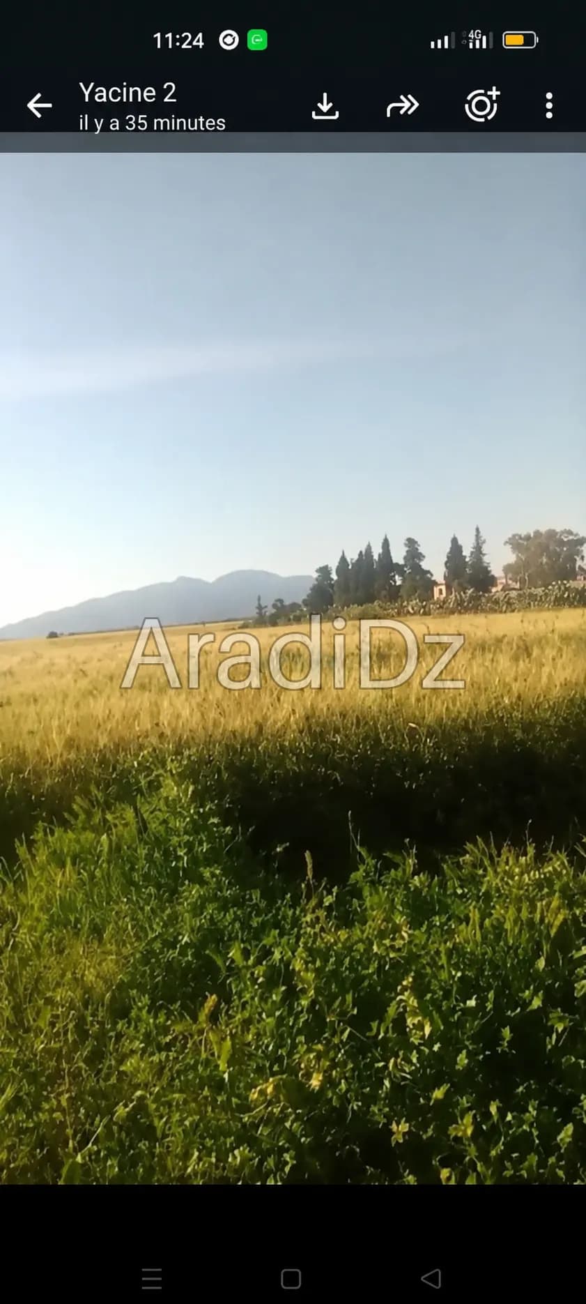 Vente Terrain Agricole Tipaza Hadjout