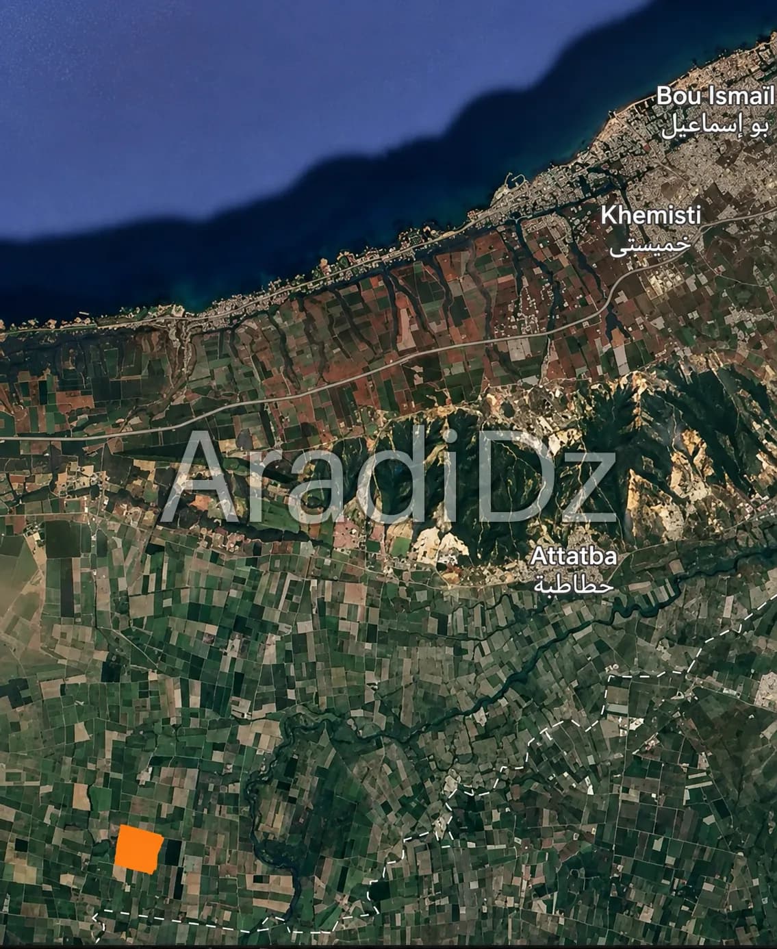 Vente Terrain Agricole Tipaza Attatba