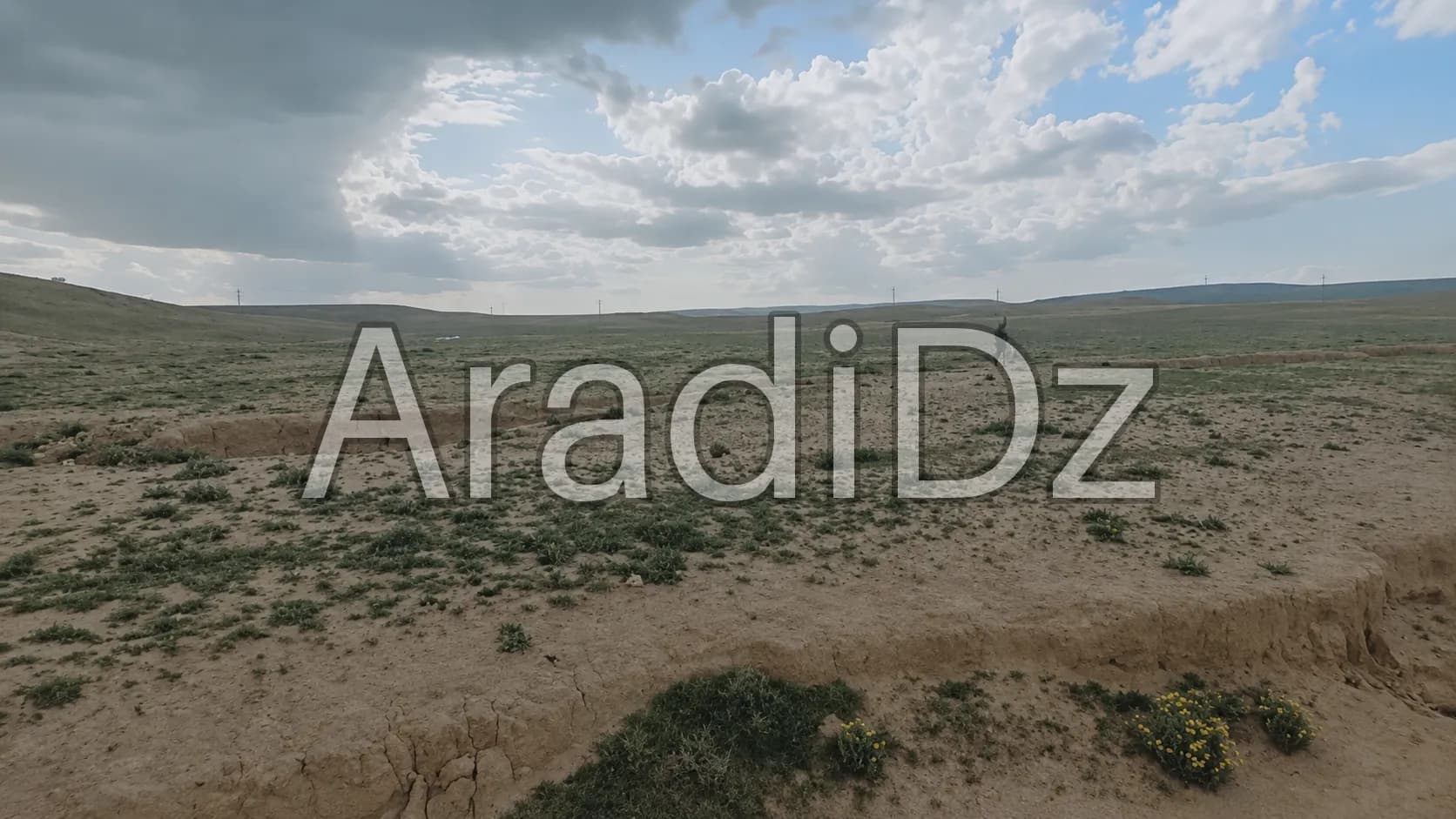Vente Terrain Agricole Djelfa Djelfa