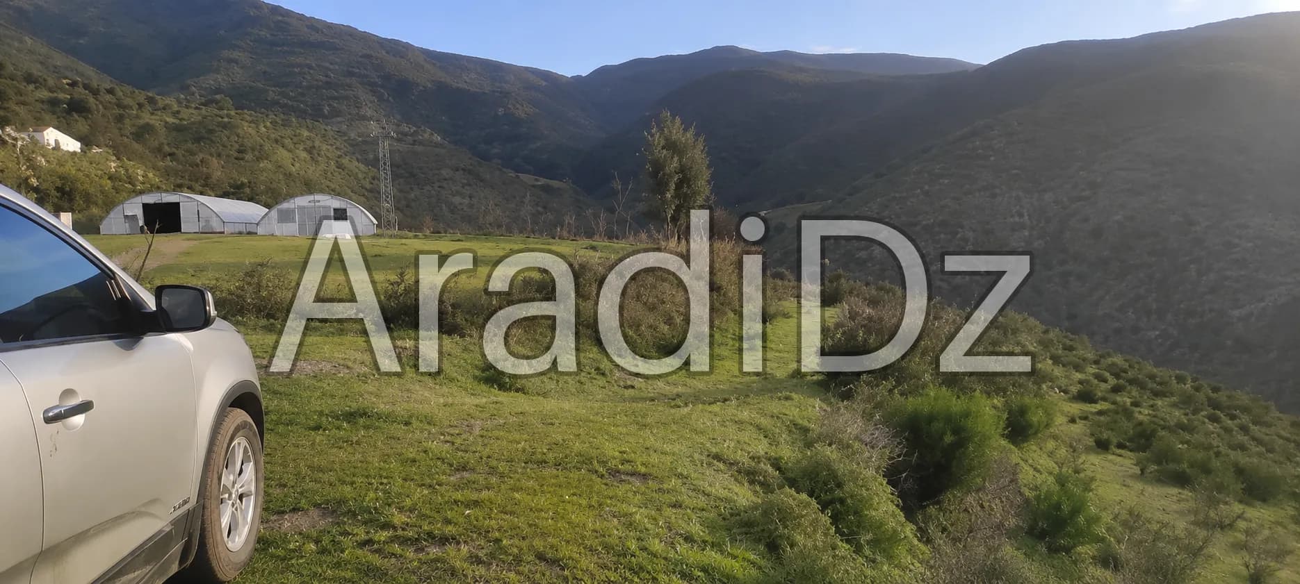 Vente Terrain Agricole Blida Guerrouaou