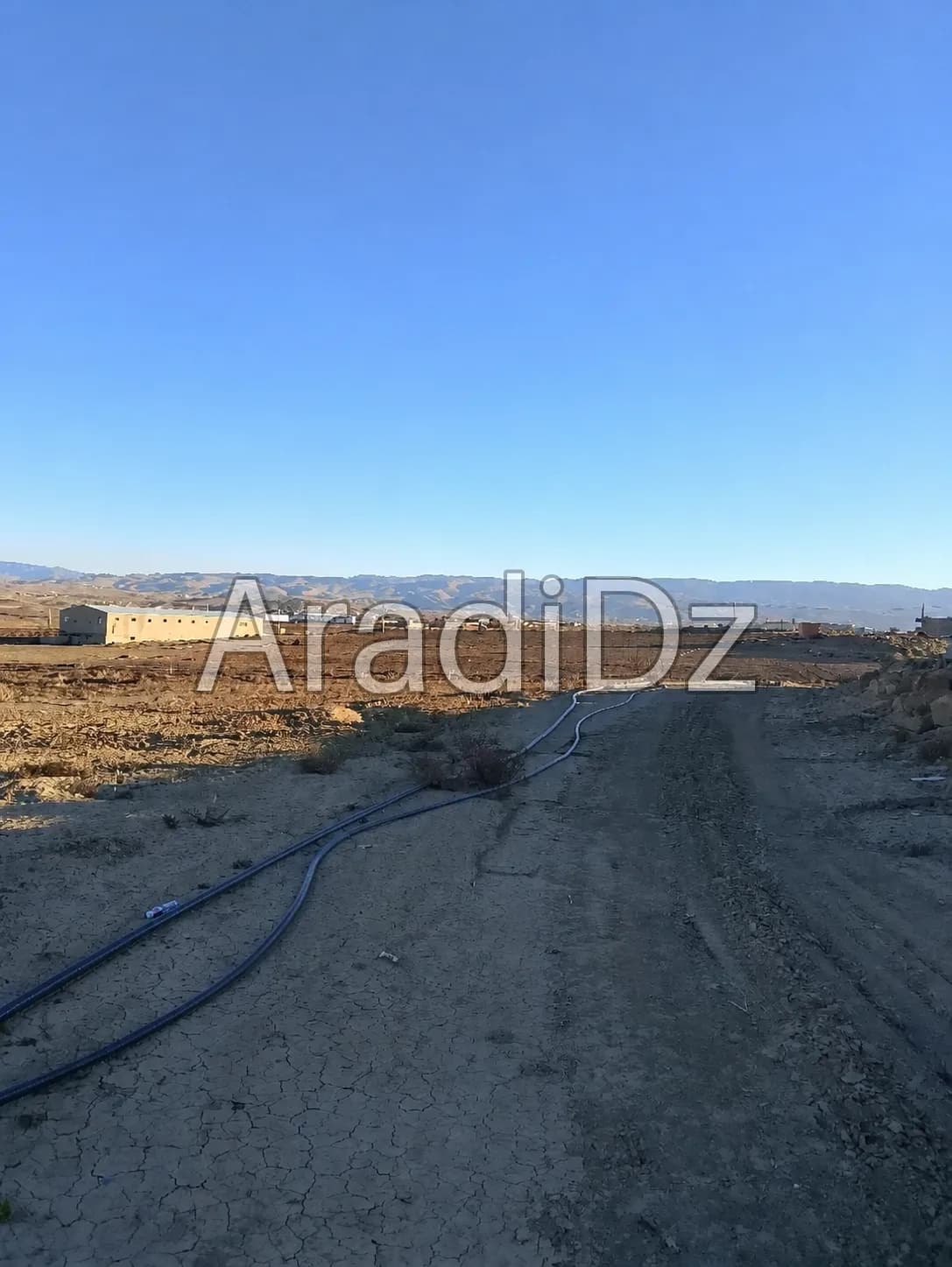 Vente Terrain Agricole Bordj Bou Arreridj El hamadia
