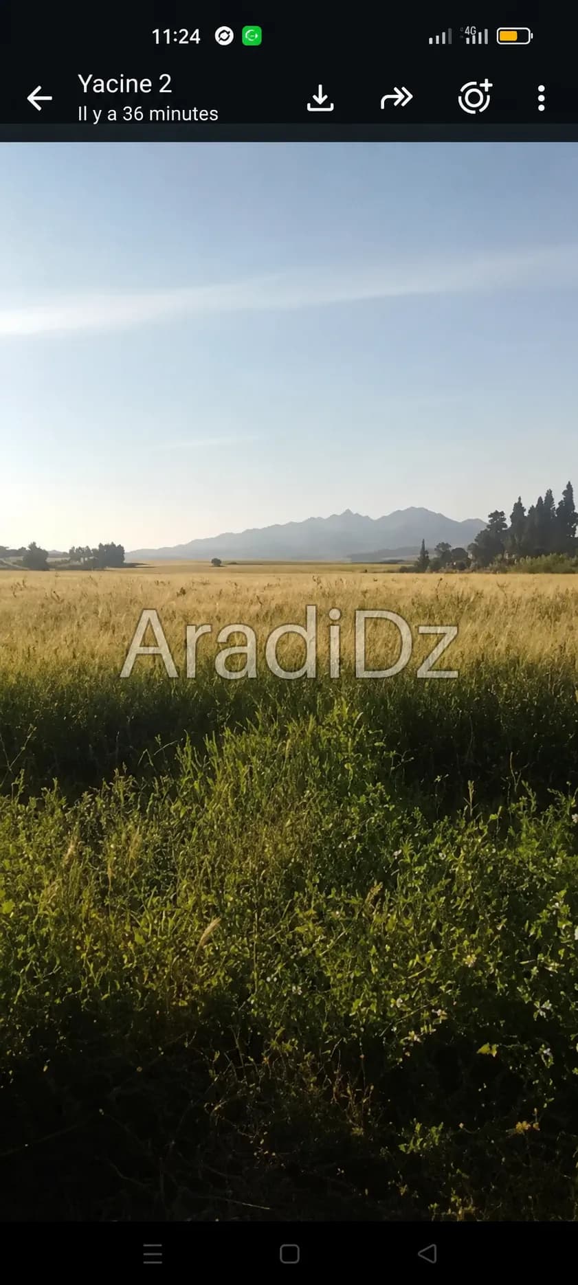 Vente Terrain Agricole Tipaza Hadjout