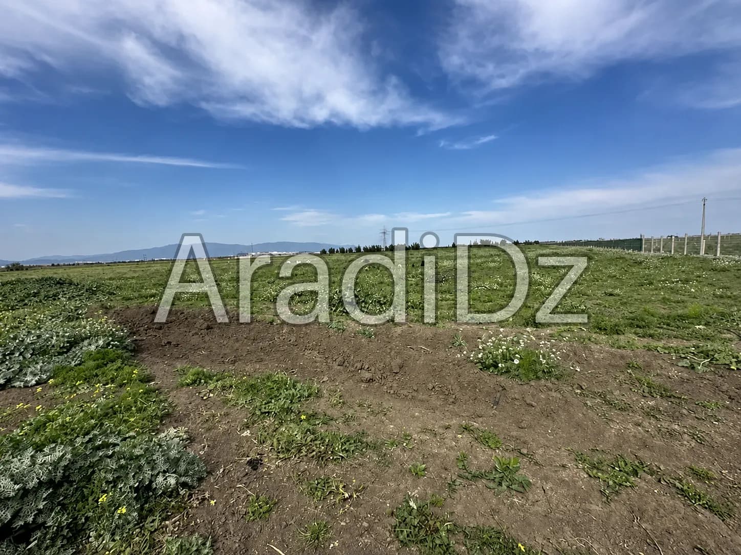 Vente Terrain Agricole Annaba Annaba