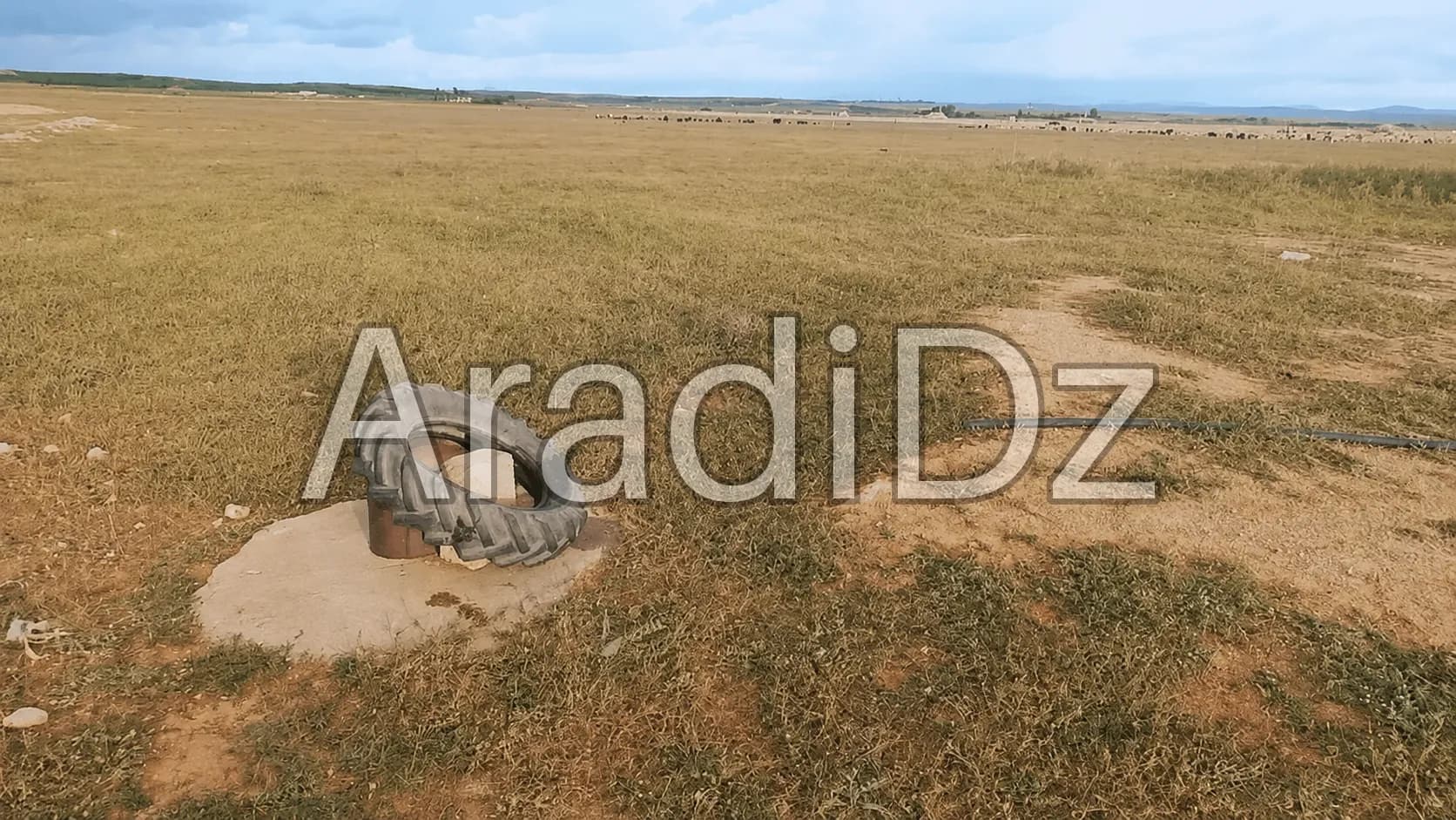 Vente Terrain Agricole Djelfa Hassi bahbah