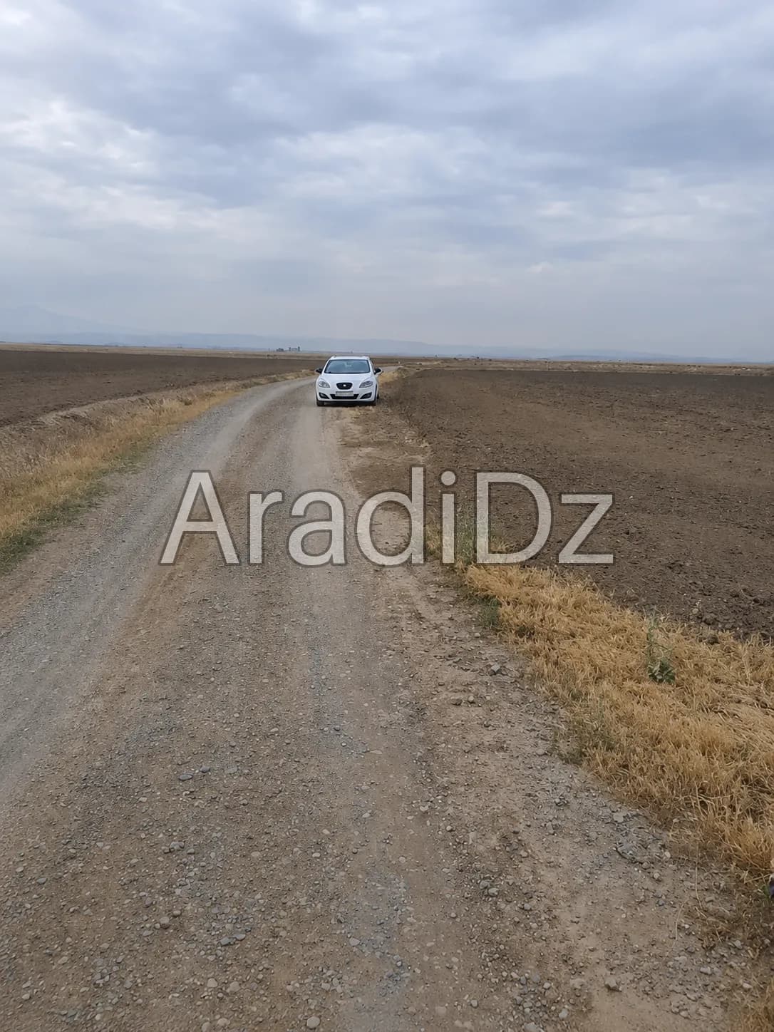 Vente Terrain Agricole Aïn Témouchent Ain el arbaa