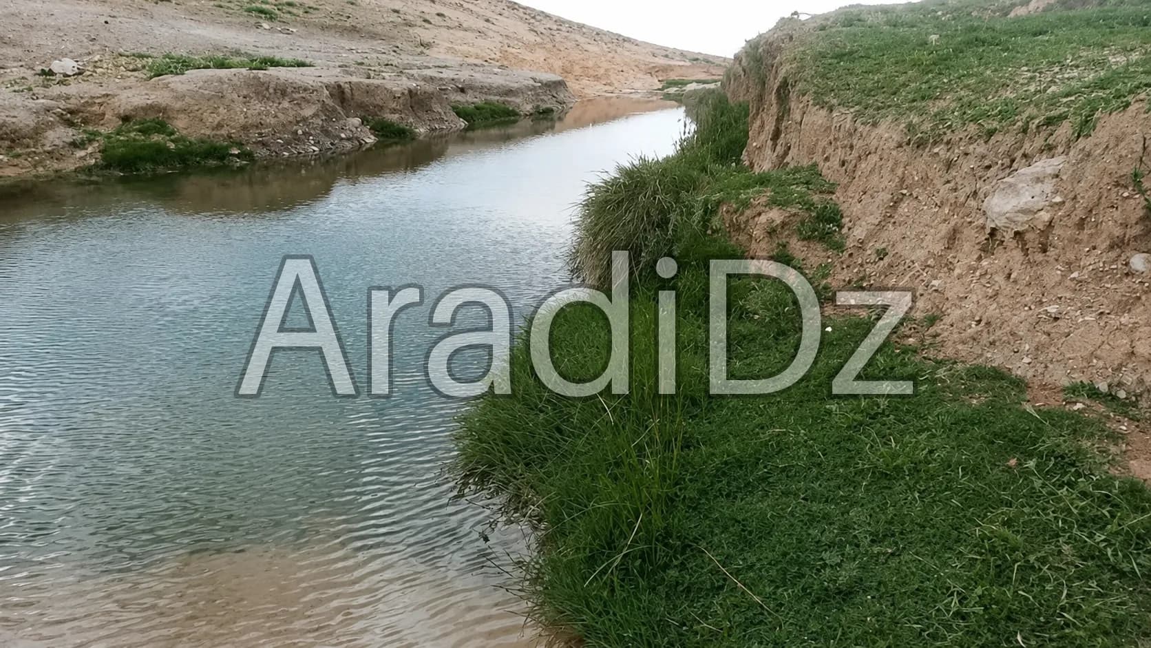 Vente Terrain Agricole Djelfa Djelfa