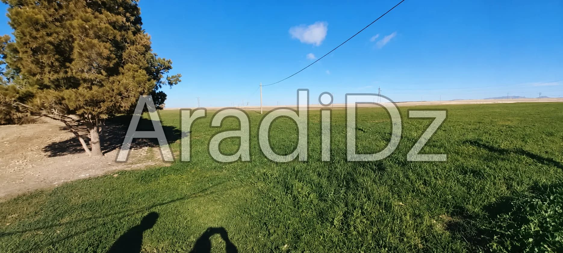 Vente Terrain Agricole Djelfa Ain oussara