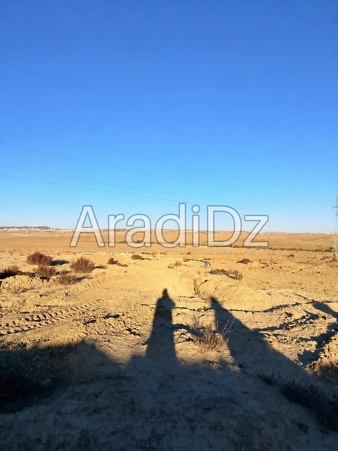 Vente Terrain Agricole Bordj Bou Arreridj El hamadia