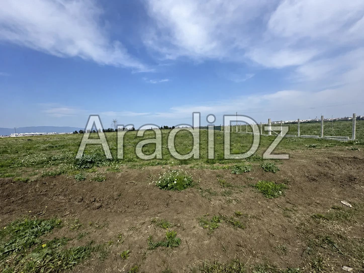 Vente Terrain Agricole Annaba Annaba