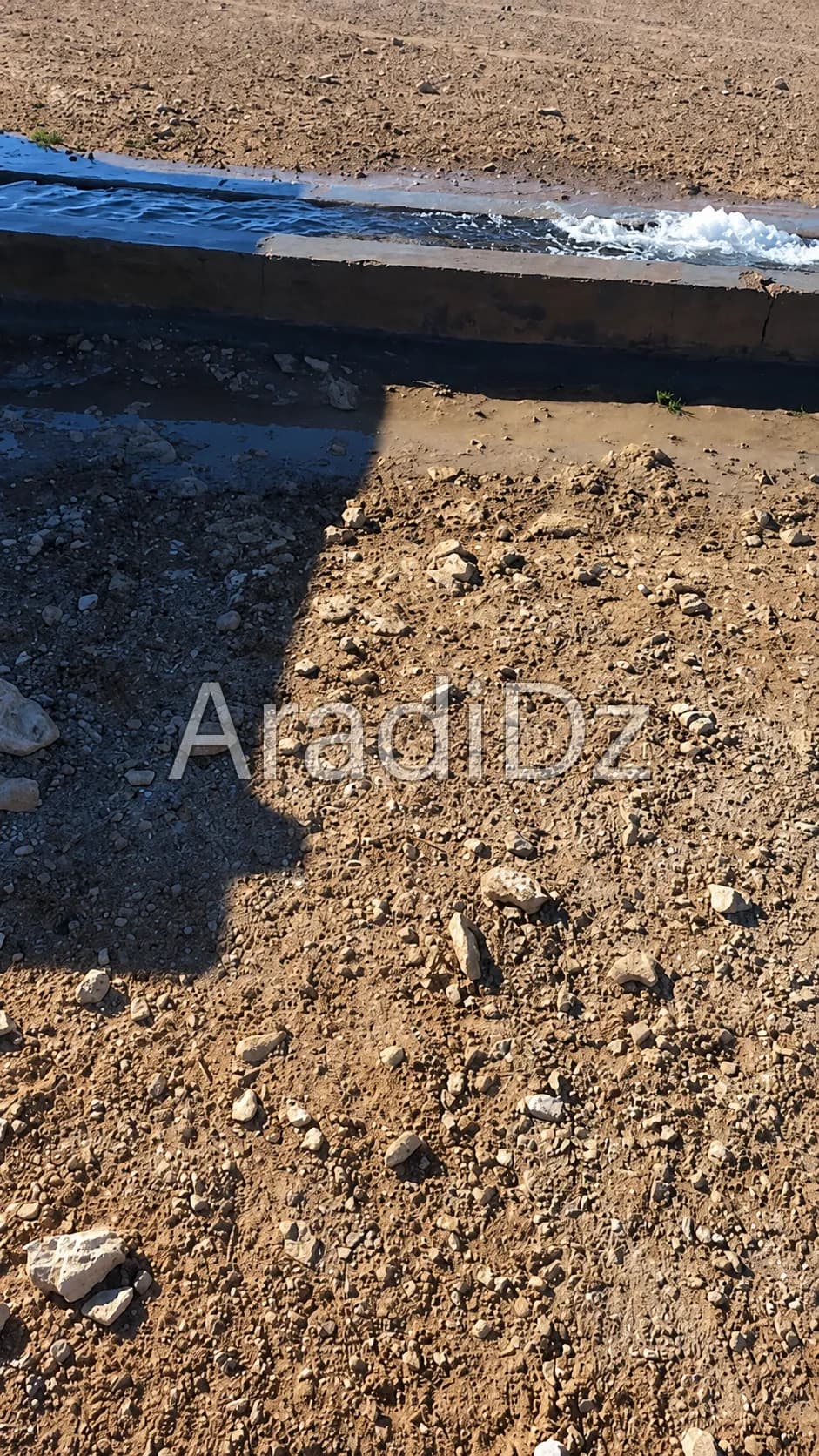 Vente Terrain Agricole Djelfa Ain oussara