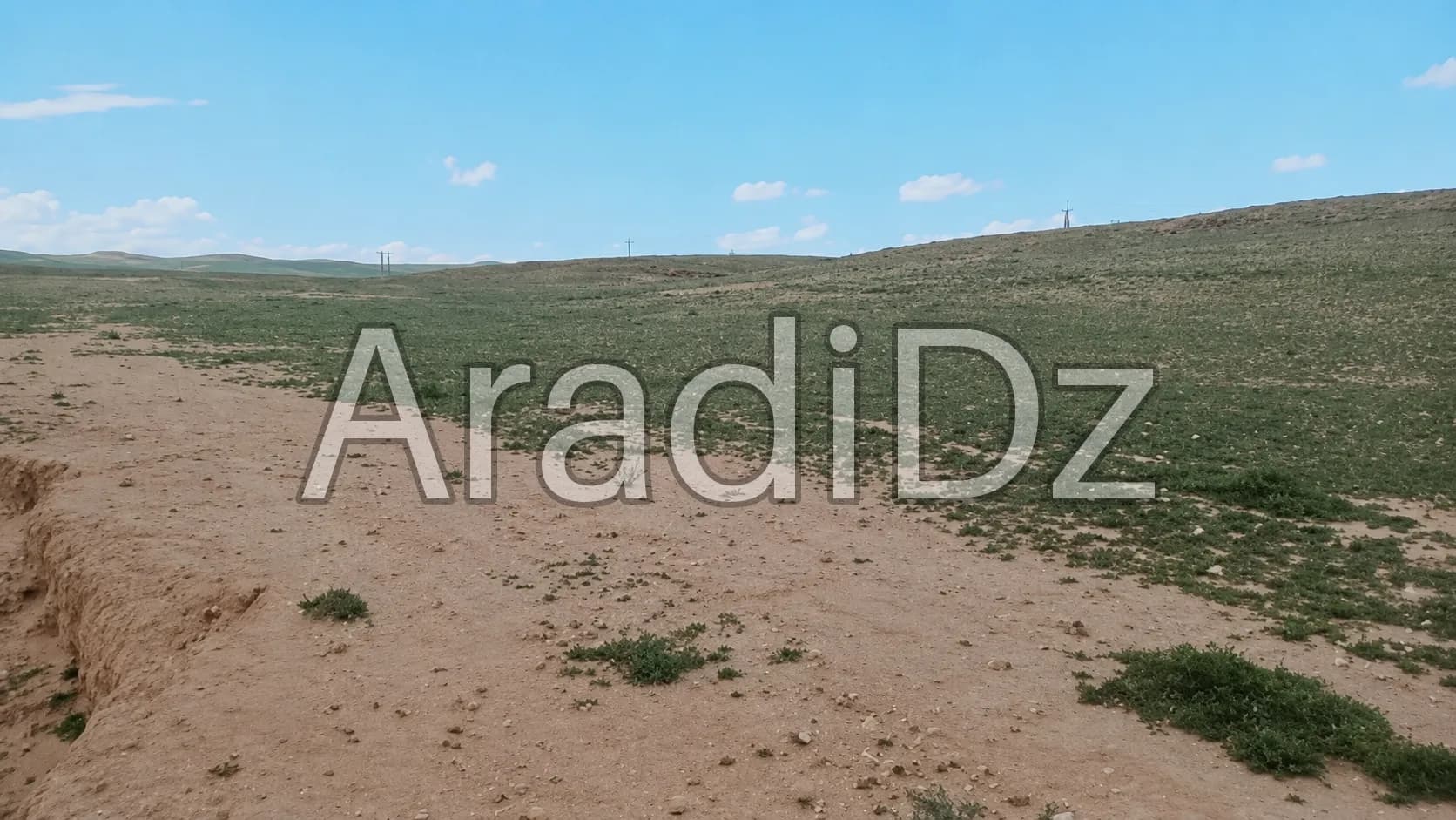Vente Terrain Agricole Djelfa Djelfa