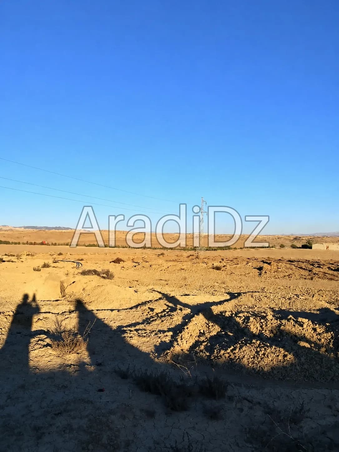Vente Terrain Agricole Bordj Bou Arreridj El hamadia