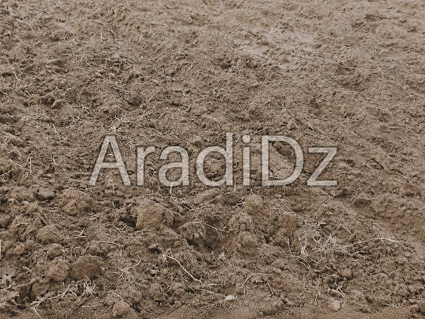 Vente Terrain Agricole Djelfa Benhar