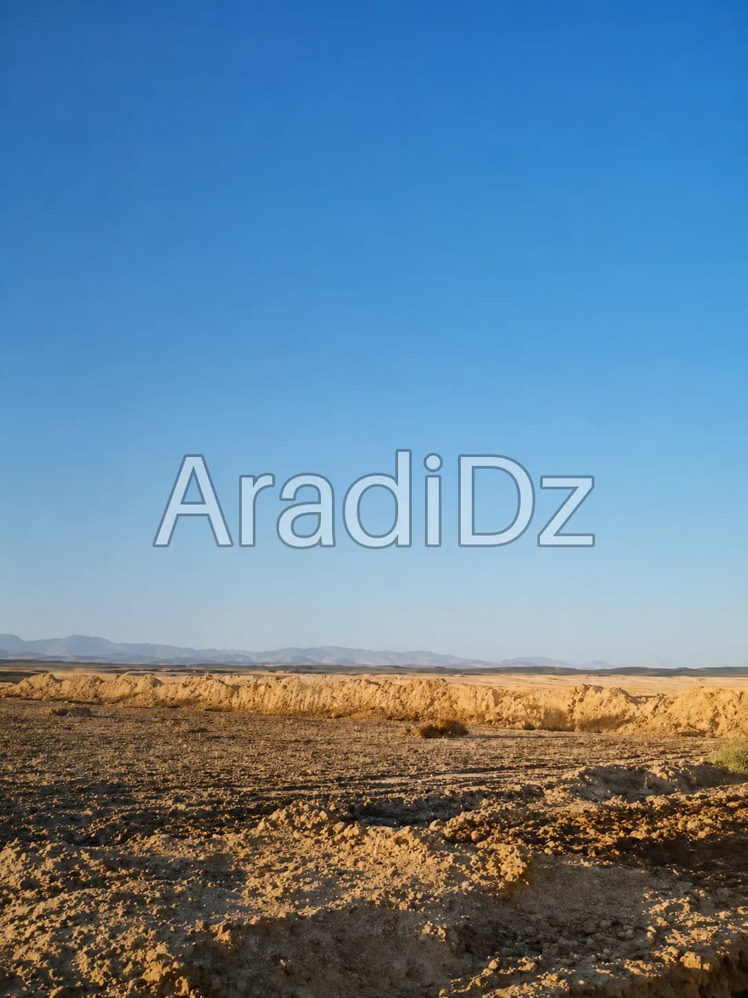Vente Terrain Agricole Biskra Ourlala