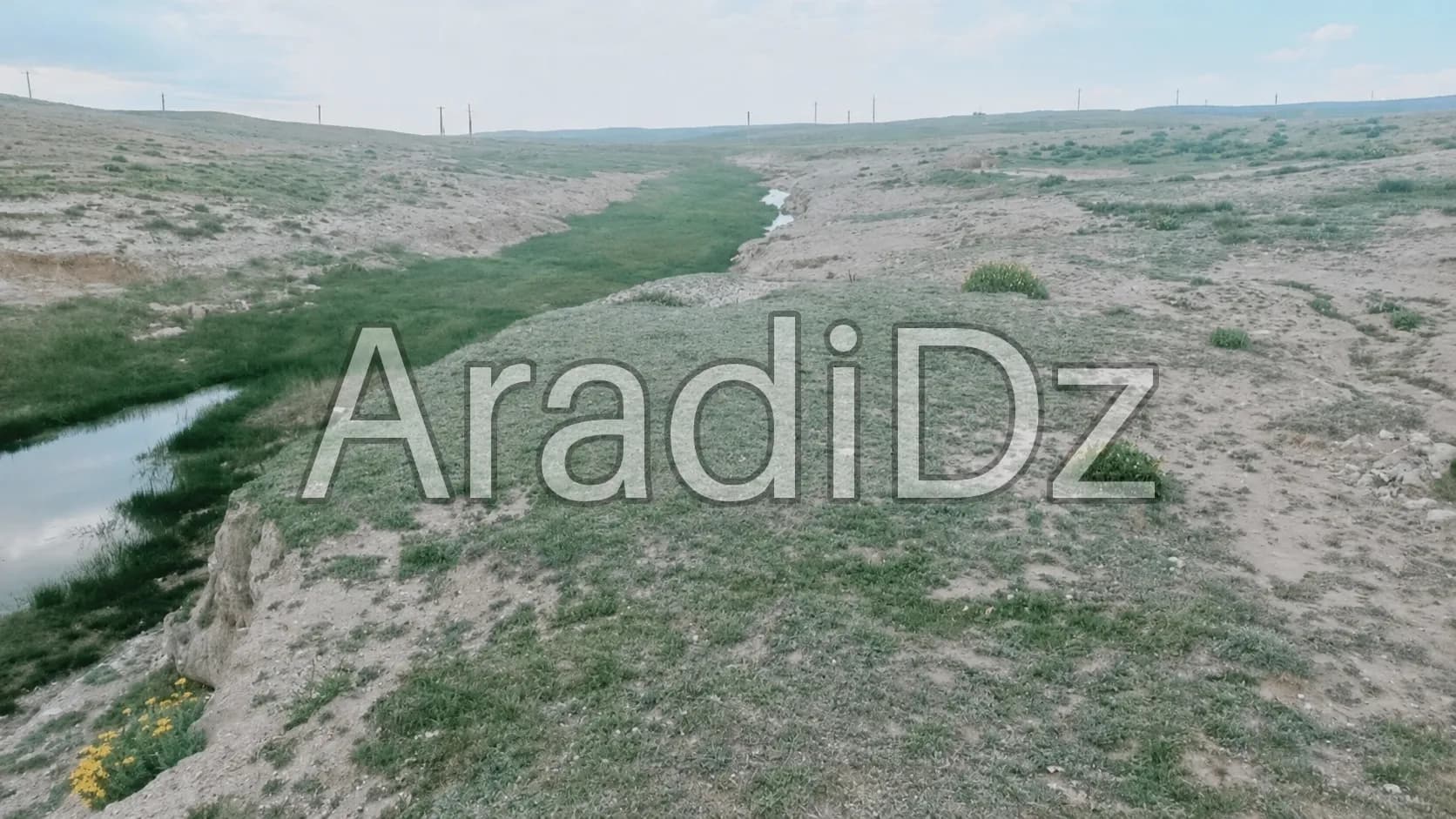 Vente Terrain Agricole Djelfa Djelfa