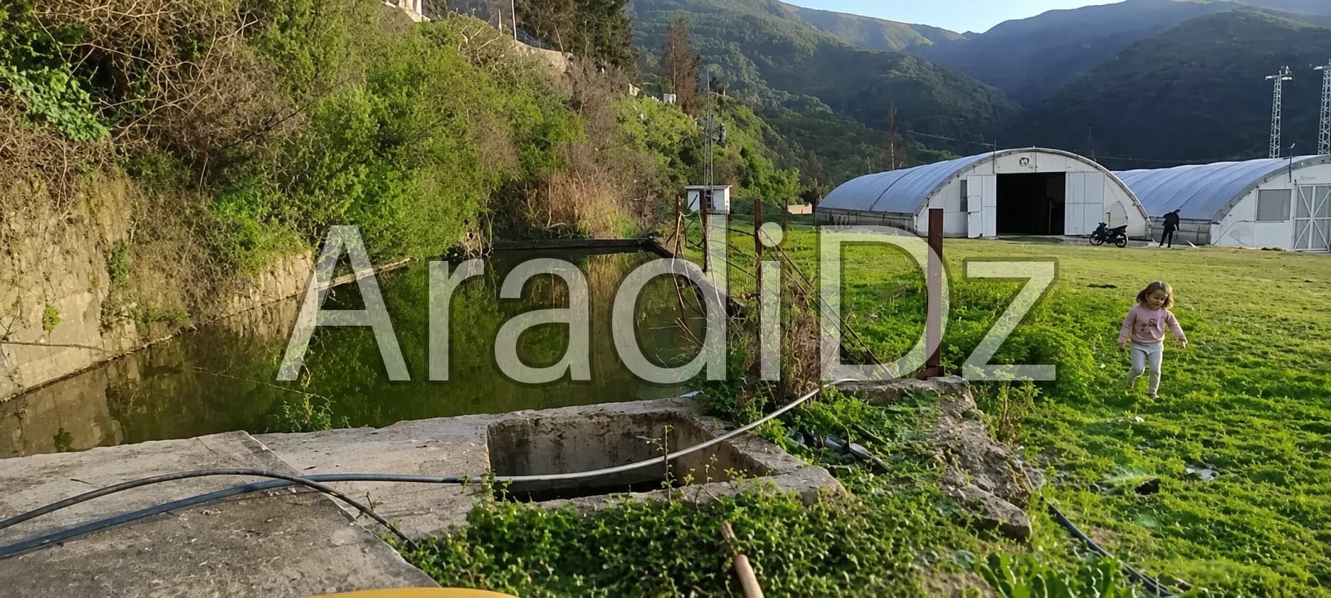 Vente Terrain Agricole Blida Guerrouaou