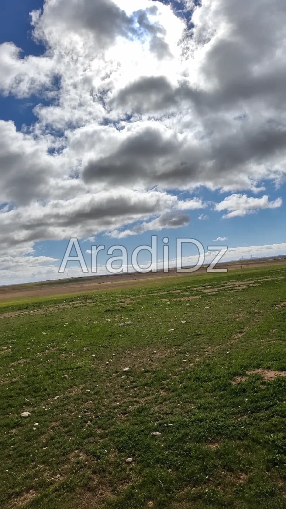 Vente Terrain Agricole Djelfa Ain oussara