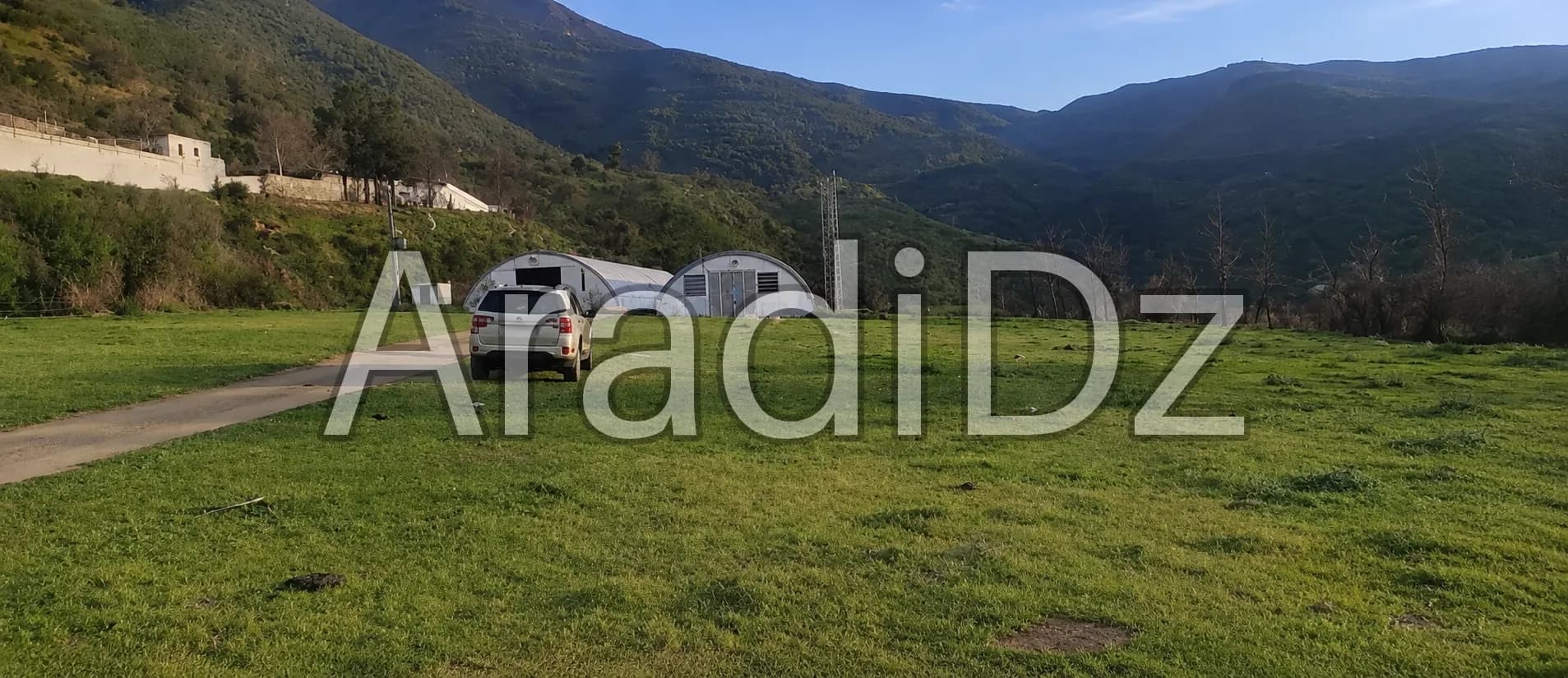 Vente Terrain Agricole Blida Guerrouaou