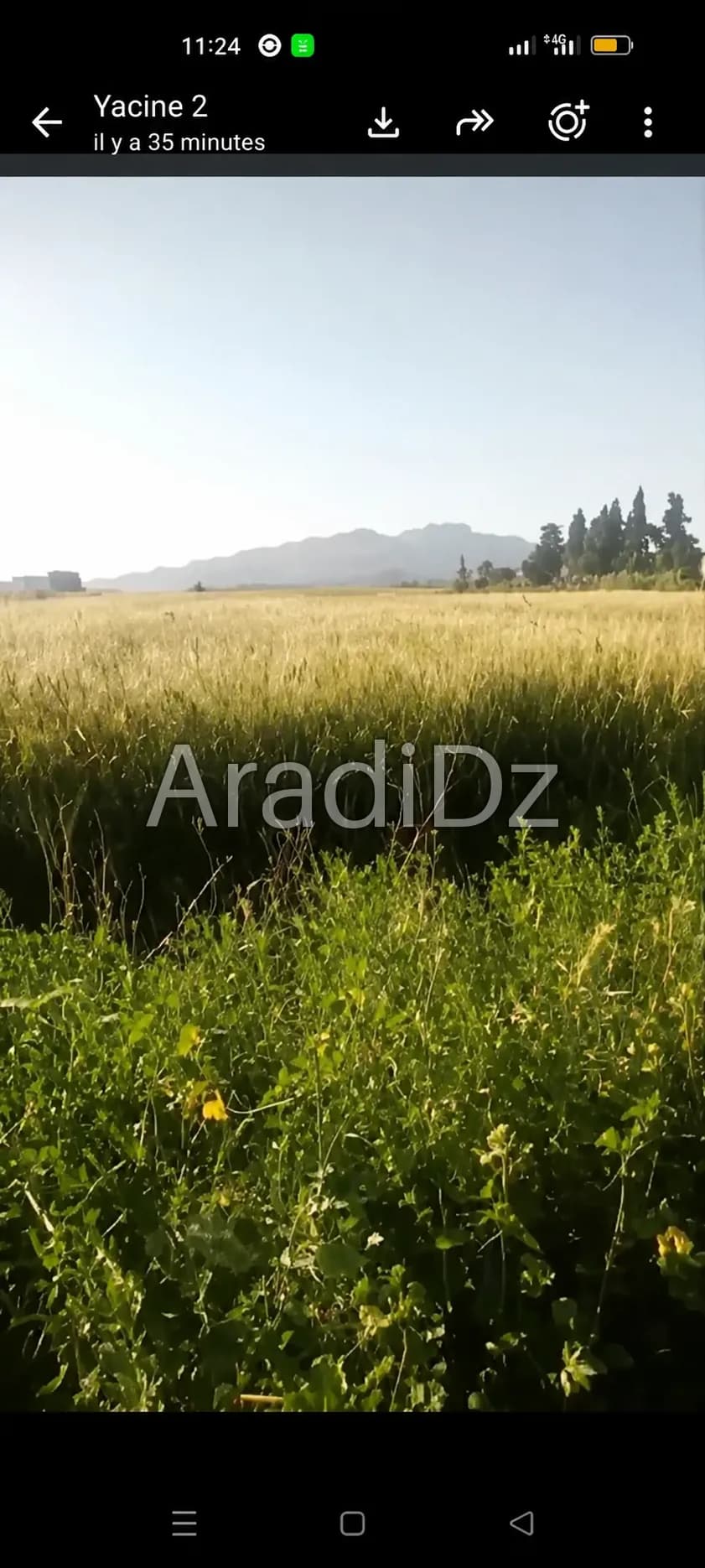 Vente Terrain Agricole Tipaza Hadjout
