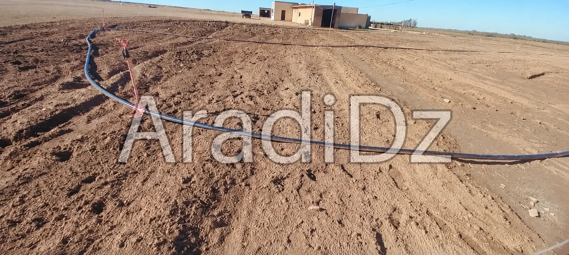 Vente Terrain Agricole Djelfa Ain oussara