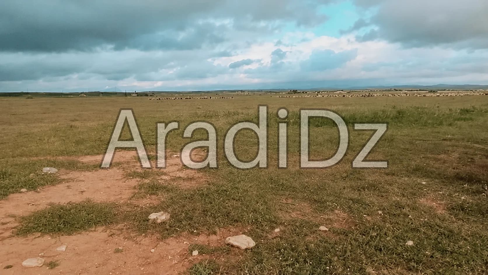 Vente Terrain Agricole Djelfa Hassi bahbah